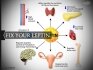 Похудение Почему не помогают диеты и фитнес Лептин